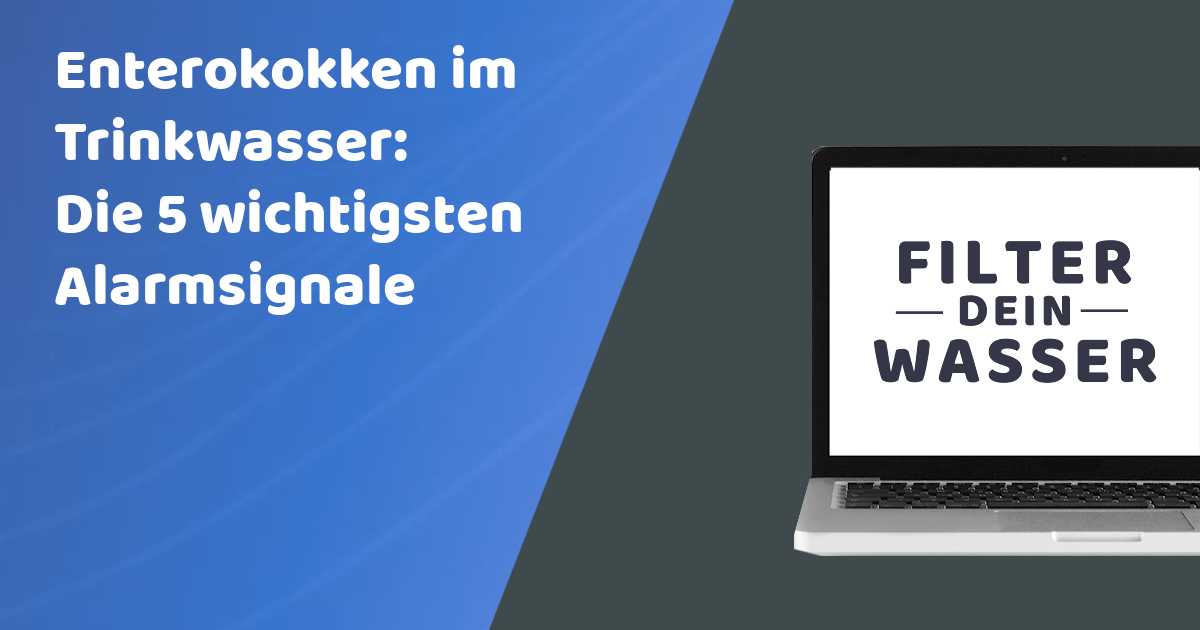 Enterokokken im Trinkwasser